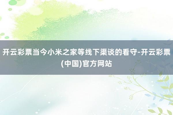 开云彩票当今小米之家等线下渠谈的看守-开云彩票(中国)官方网站