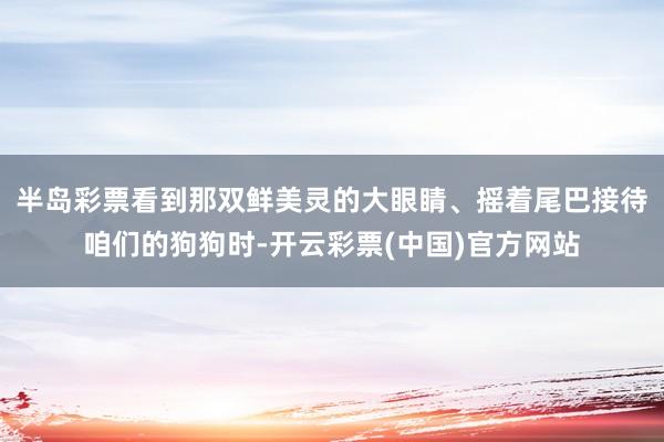 半岛彩票看到那双鲜美灵的大眼睛、摇着尾巴接待咱们的狗狗时-开云彩票(中国)官方网站